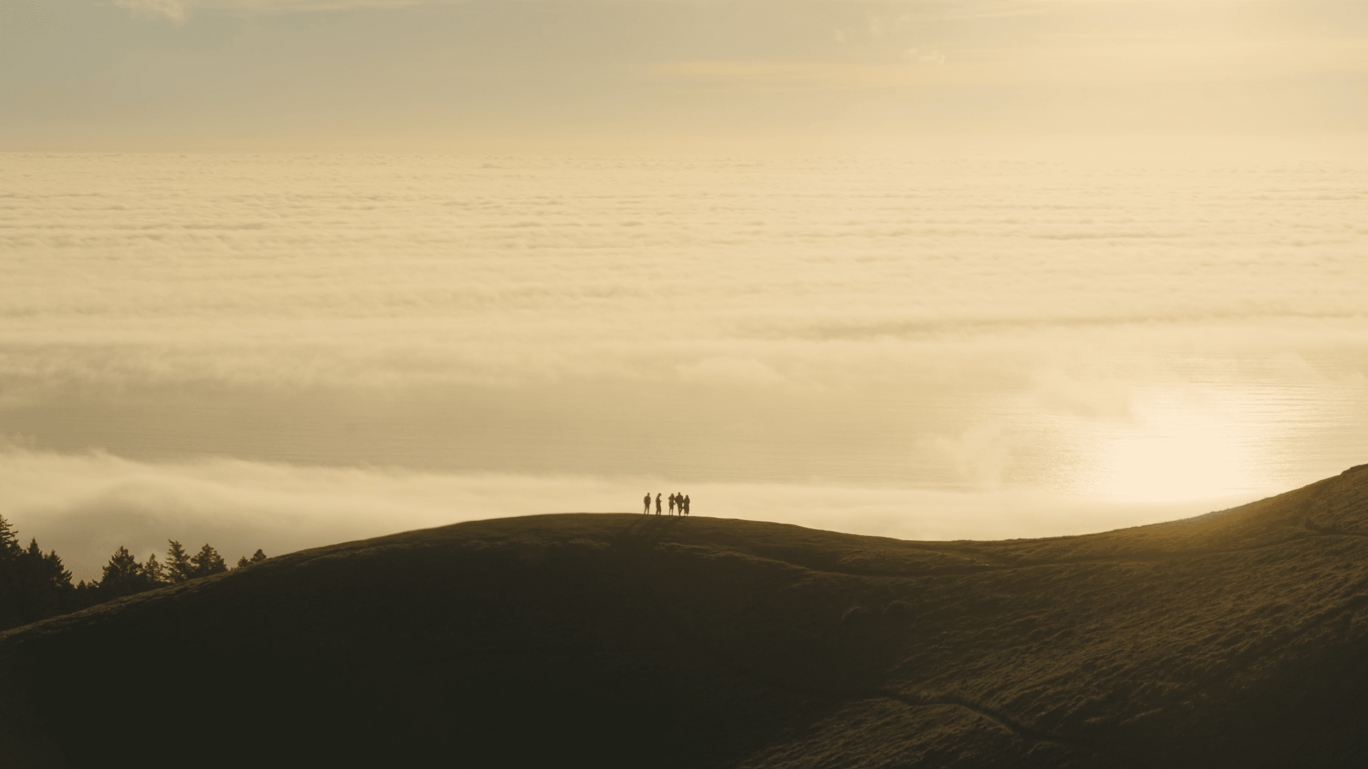 Lords of Catan | Trailer